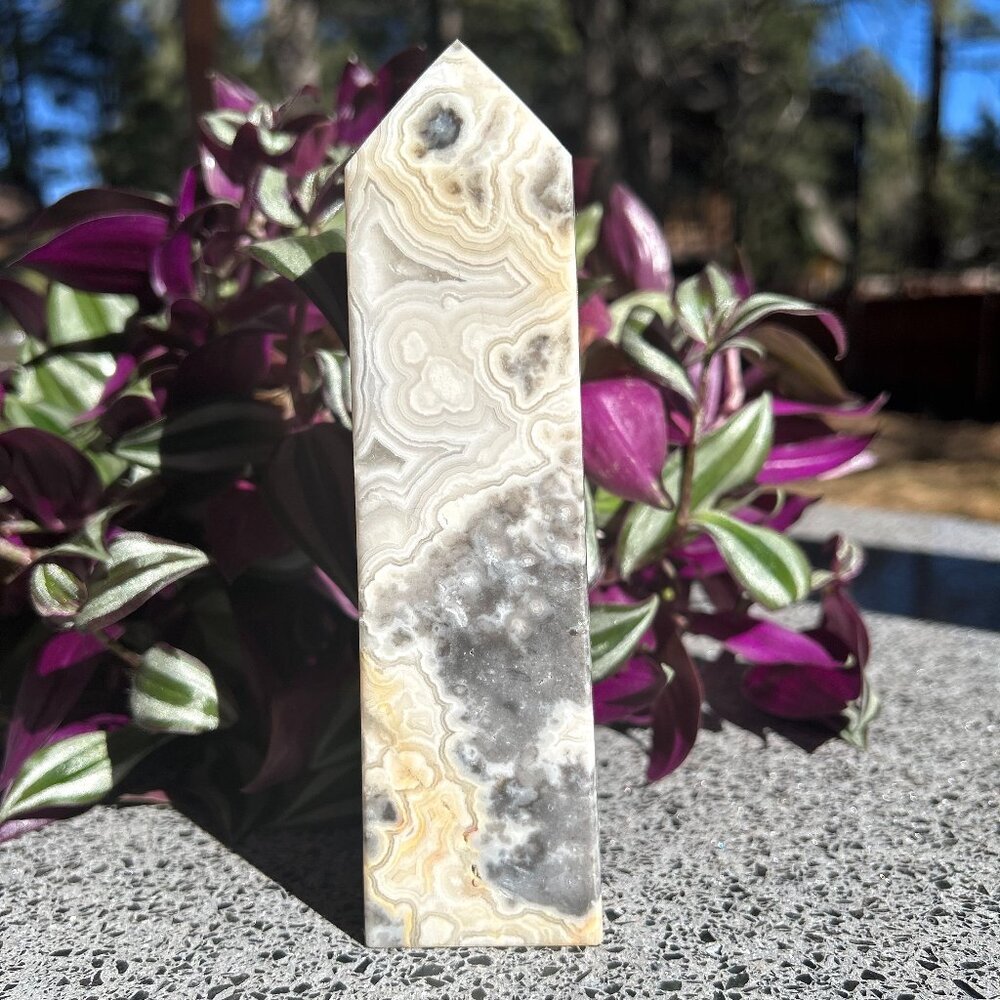 White Mexican Crazy Lace Tower